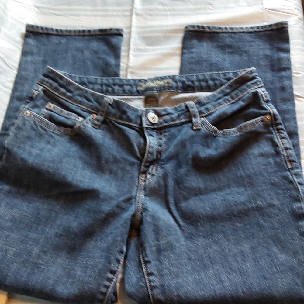 Banana Republic Women's 8 in. Rise Stretch Jeans‎ Size 8 Premium Denim Blue Wash